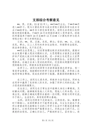 2024年支部综合考察意见