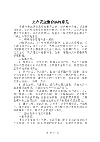 2024年支农资金整合实施意见