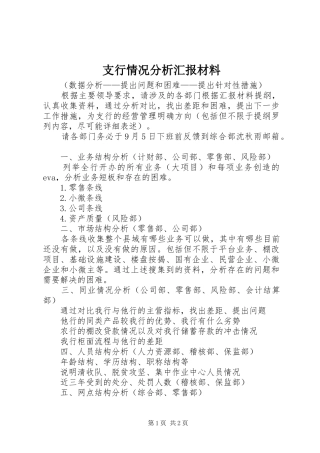 2024年支行情况分析汇报材料