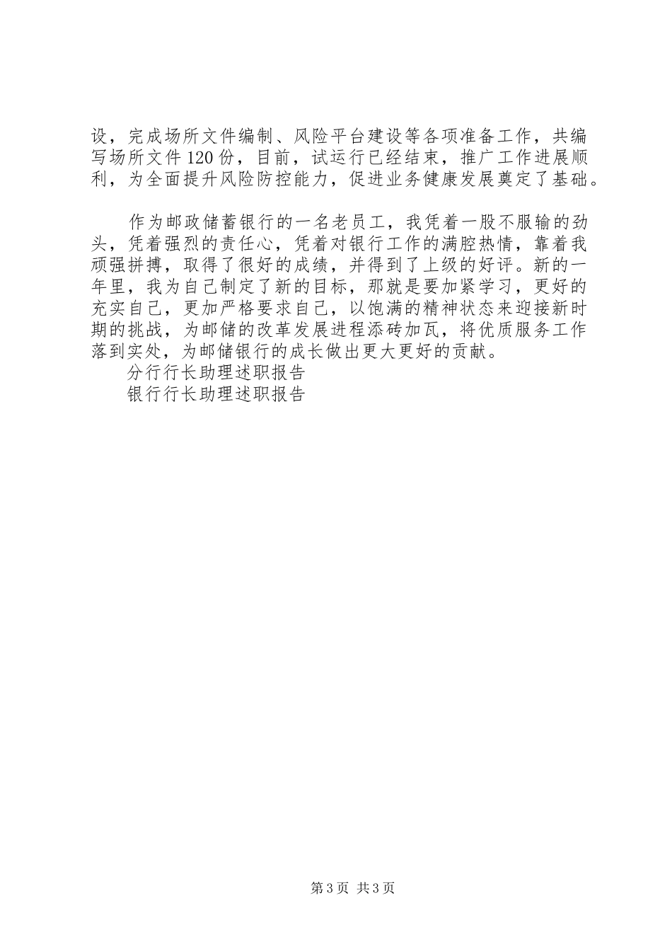2024年支行行长助理述职报告_第3页
