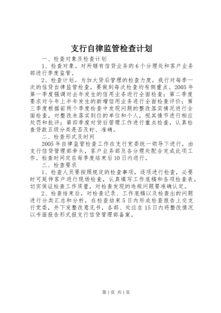 2024年支行自律监管检查计划