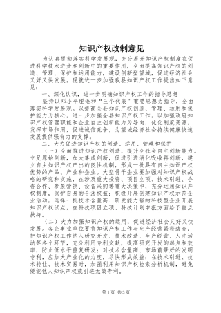 2024年知识产权改制意见