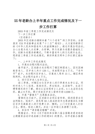 2024年老龄办上半年重点工作完成情况及下一步工作打算