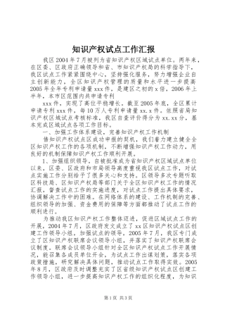 2024年知识产权试点工作汇报