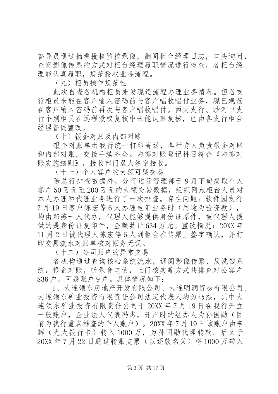 2024年执行年活动自查报告_第3页