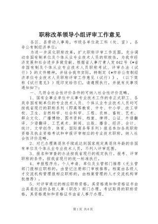 2024年职称改革领导小组评审工作意见
