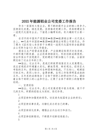 2024年能源铝业公司党委工作报告