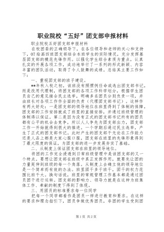 2024年职业院校五好团支部申报材料