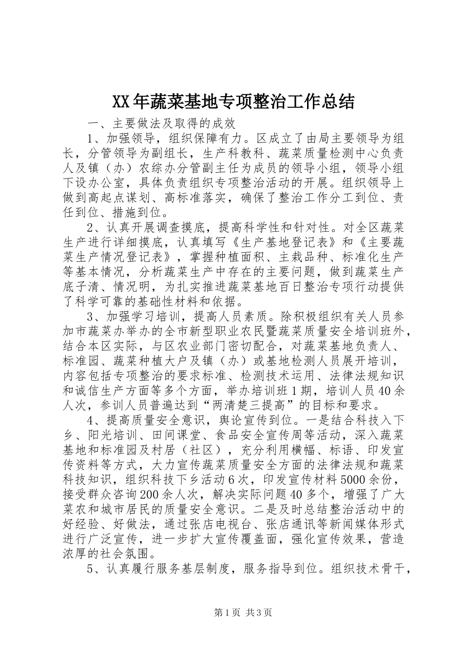 2024年蔬菜基地专项整治工作总结_第1页