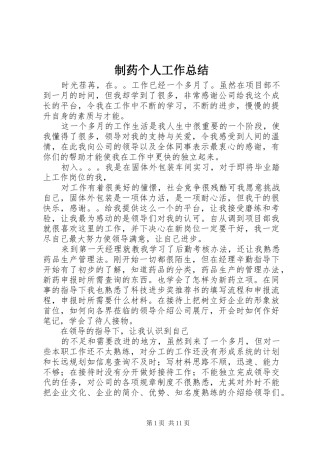 2024年制药个人工作总结