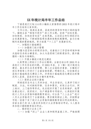 2024年统计局半年工作总结