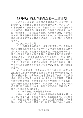 2024年统计局工作总结及明年工作计划