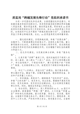 2024年质监局跨越发展先锋行动党组织承诺书