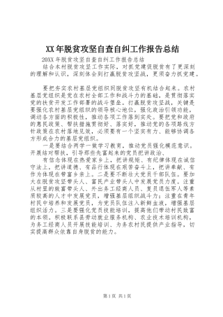 2024年脱贫攻坚自查自纠工作报告总结