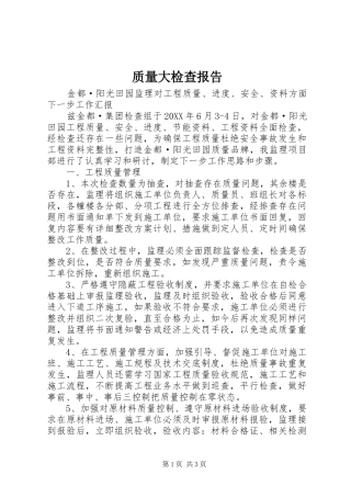 2024年质量大检查报告