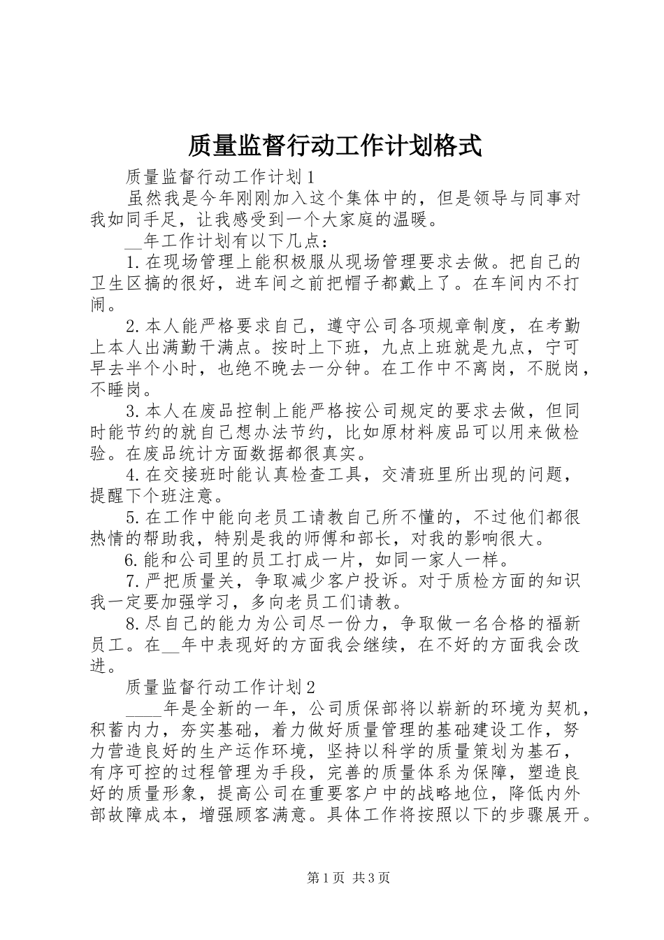 2024年质量监督行动工作计划格式_第1页