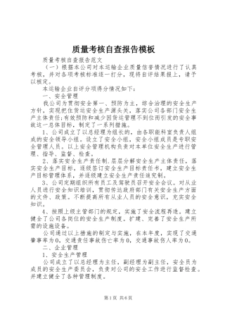 2024年质量考核自查报告模板