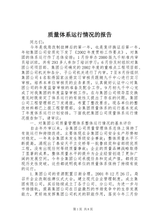 2024年质量体系运行情况的报告
