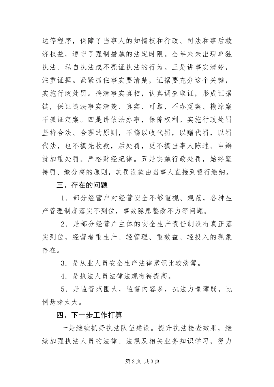 2024年行政执法自查报告_第2页