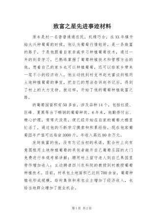 2024年致富之星先进事迹材料