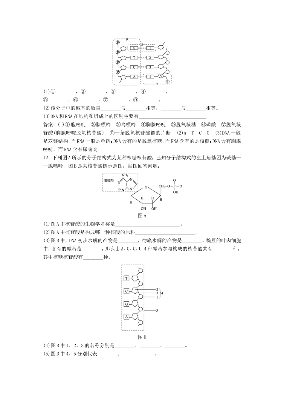 （课堂设计）高中生物 2.2.3 核酸的结构和功能每课一练 苏教版必修1_第3页