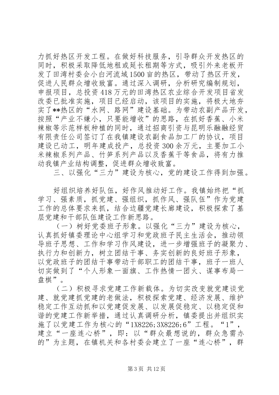2024年镇党委政府年终总结范文_第3页