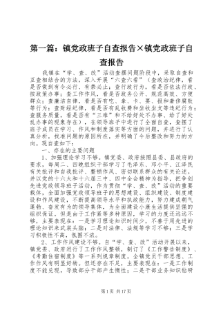 2024年镇党政班子自查报告镇党政班子自查报告