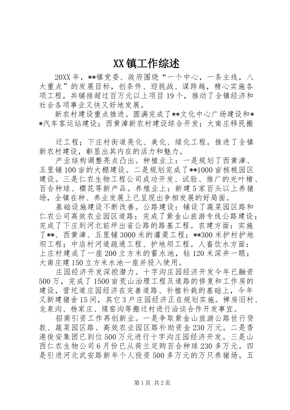 2024年镇工作综述_第1页