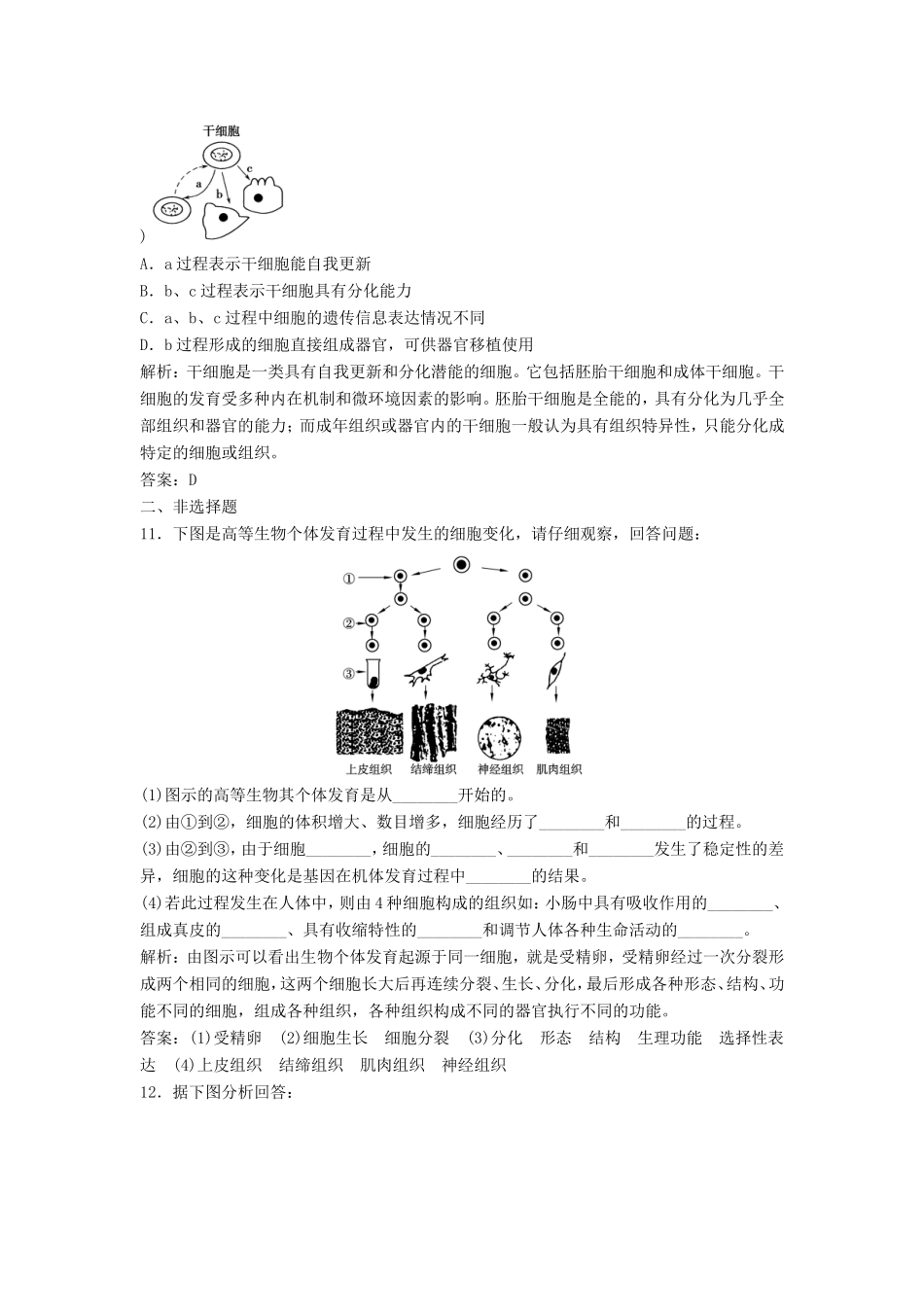 （课堂设计）高中生物 5.2.1 细胞的分化和全能性每课一练 苏教版必修1_第3页