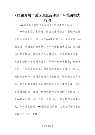 2024年镇开展爱国卫生活动月环境清扫大行动