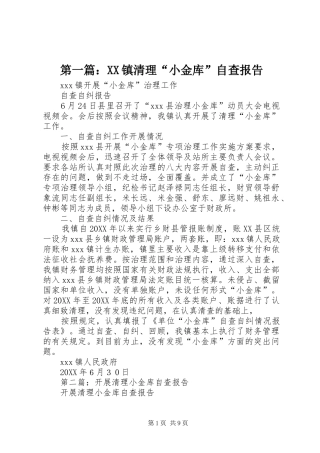 2024年镇清理小金库自查报告