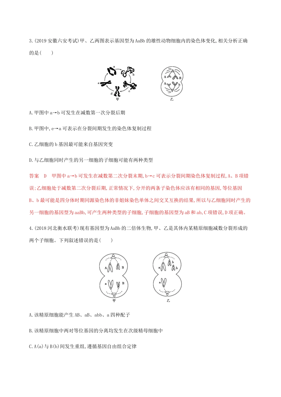 （课标通用）山东省高考生物总复习 第11讲 减数分裂和受精作用练习（含解析）-人教版高三全册生物试题_第2页