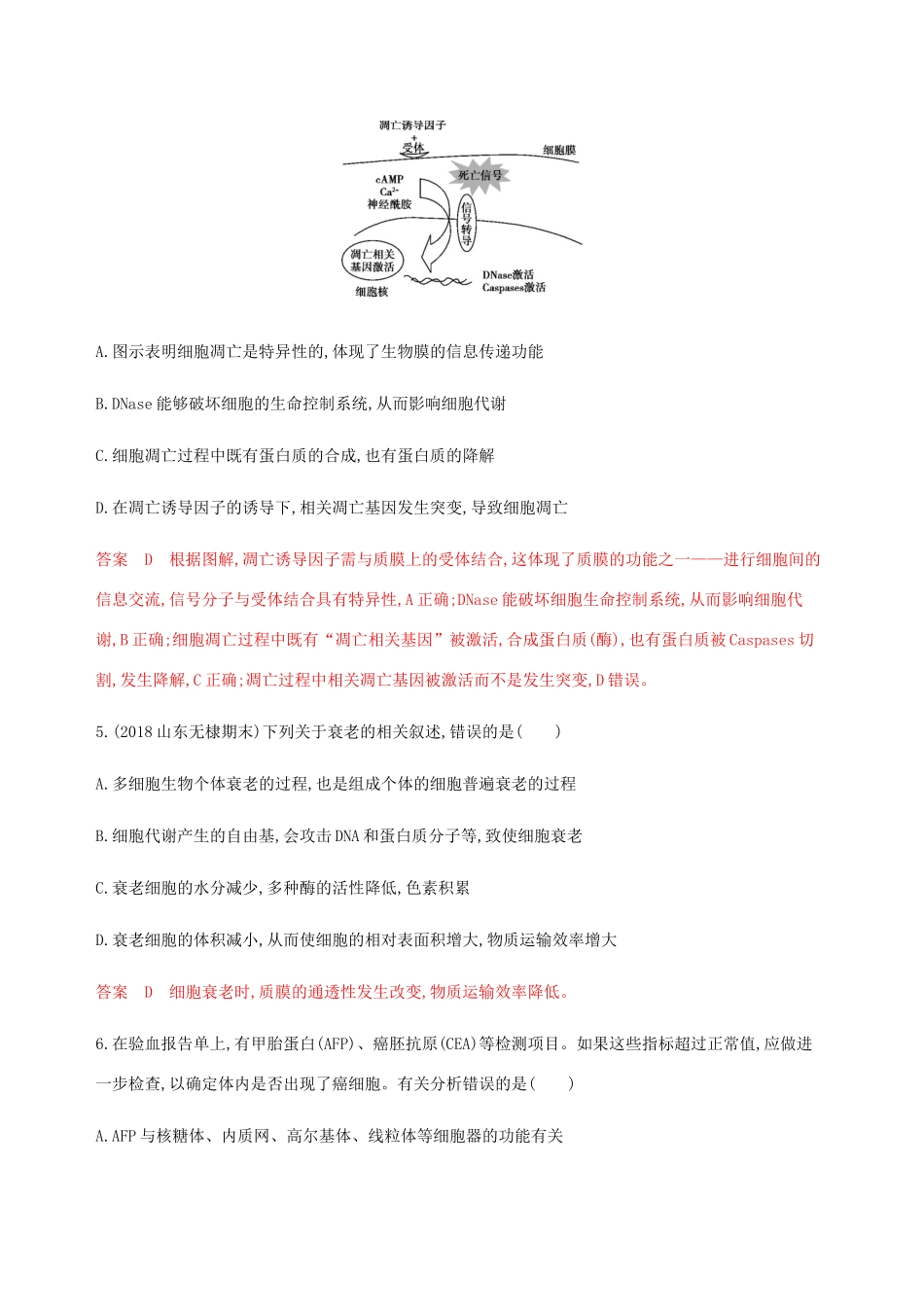 （课标通用）山东省高考生物总复习 第12讲 细胞的分化、衰老、凋亡与癌变练习（含解析）-人教版高三全册生物试题_第3页