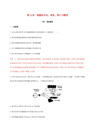 （课标通用）山东省高考生物总复习 第12讲 细胞的分化、衰老、凋亡与癌变练习（含解析）-人教版高三全册生物试题
