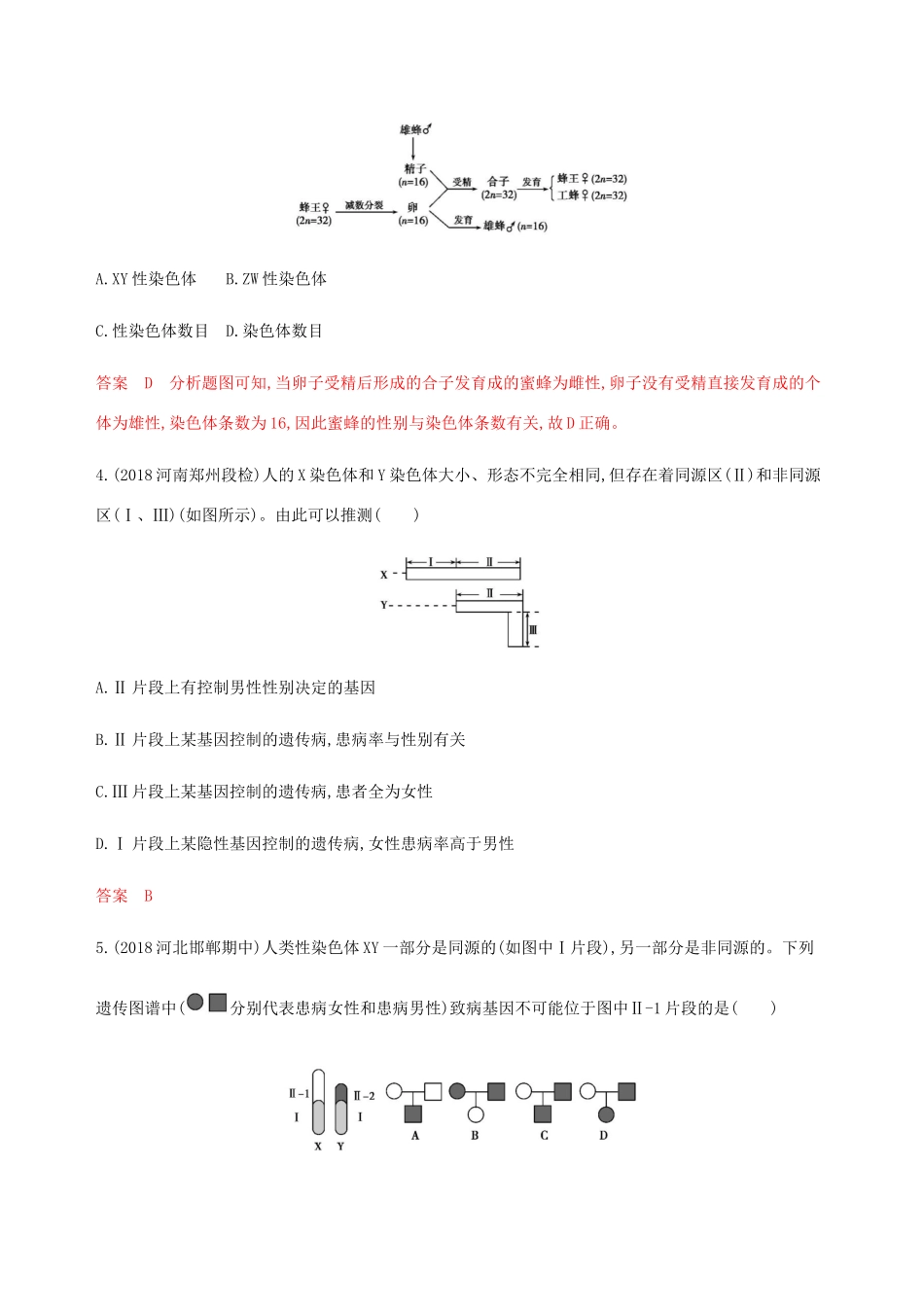 （课标通用）山东省高考生物总复习 第15讲 基因在染色体上、伴性遗传练习（含解析）-人教版高三全册生物试题_第2页