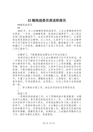 2024年镇统战委员度述职报告