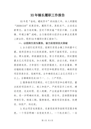 2024年镇长履职工作报告