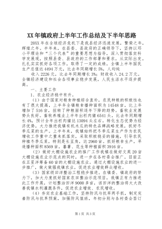 2024年镇政府上半年工作总结及下半年思路