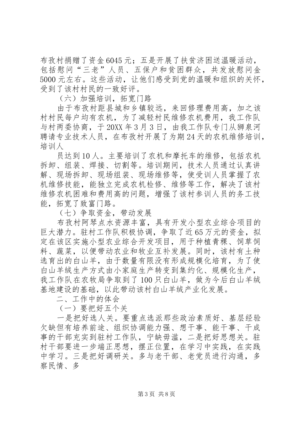 2024年驻村工作队交流材料_第3页