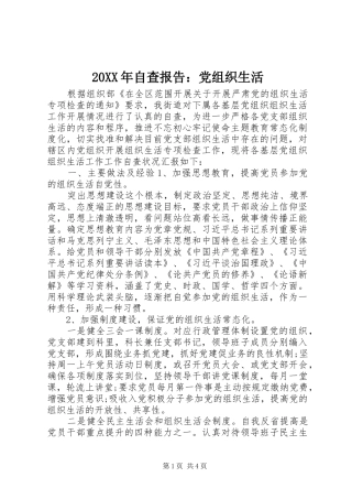 2024年自查报告党组织生活