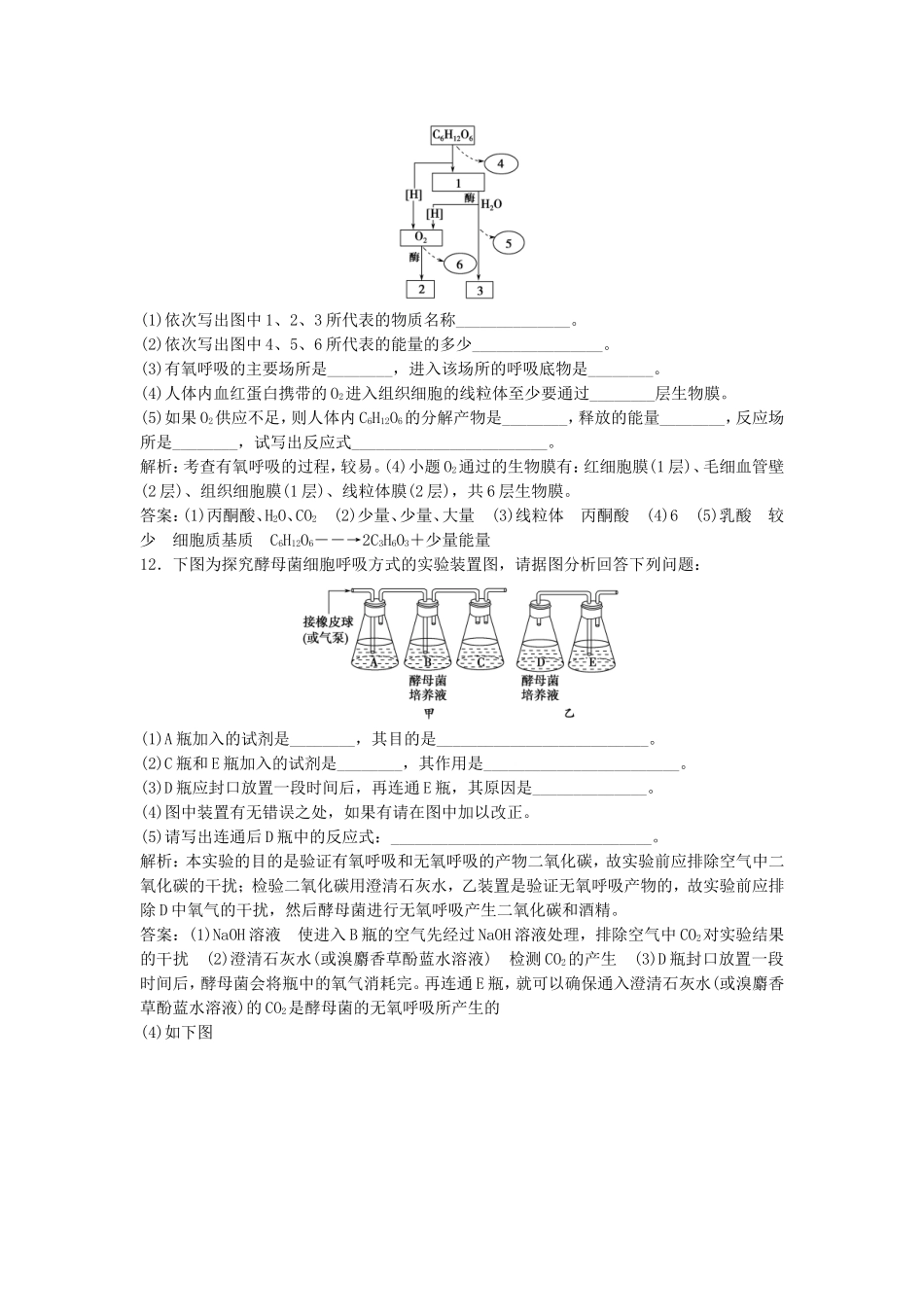 （课堂设计）学高中生物 5.3 ATP的主要来源 细胞呼吸拓展演练 新人教版必修1_第3页