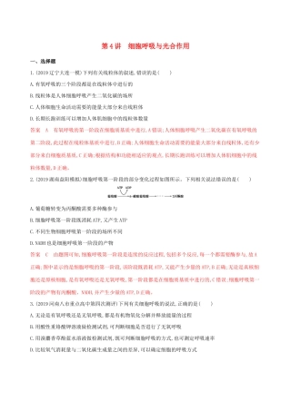 （课标专用）高考生物二轮复习 专题二 第4讲 细胞呼吸与光合作用精练（含解析）-人教版高三生物试题