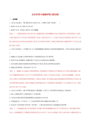 （课标专用）高考生物二轮复习 专题二 第4讲 细胞呼吸与光合作用强化精练（含解析）-人教版高三生物试题