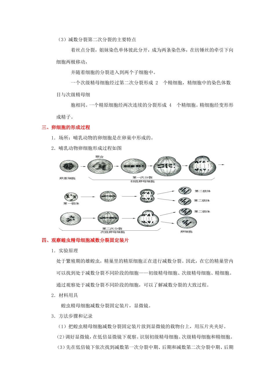 （课标通用）高考生物 考点一遍过 第4辑 考点1 减数分裂和受精作用-人教版高三全册生物试题_第2页