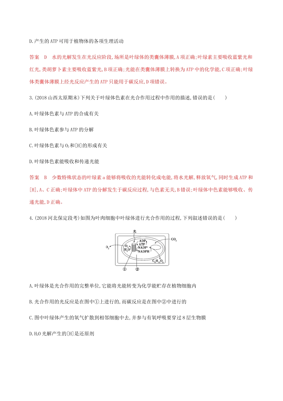 （课标通用）山东省高考生物总复习 第9讲 光合作用第1课时 光合作用的探究历程与基本过程练习（含解析）-人教版高三全册生物试题_第2页