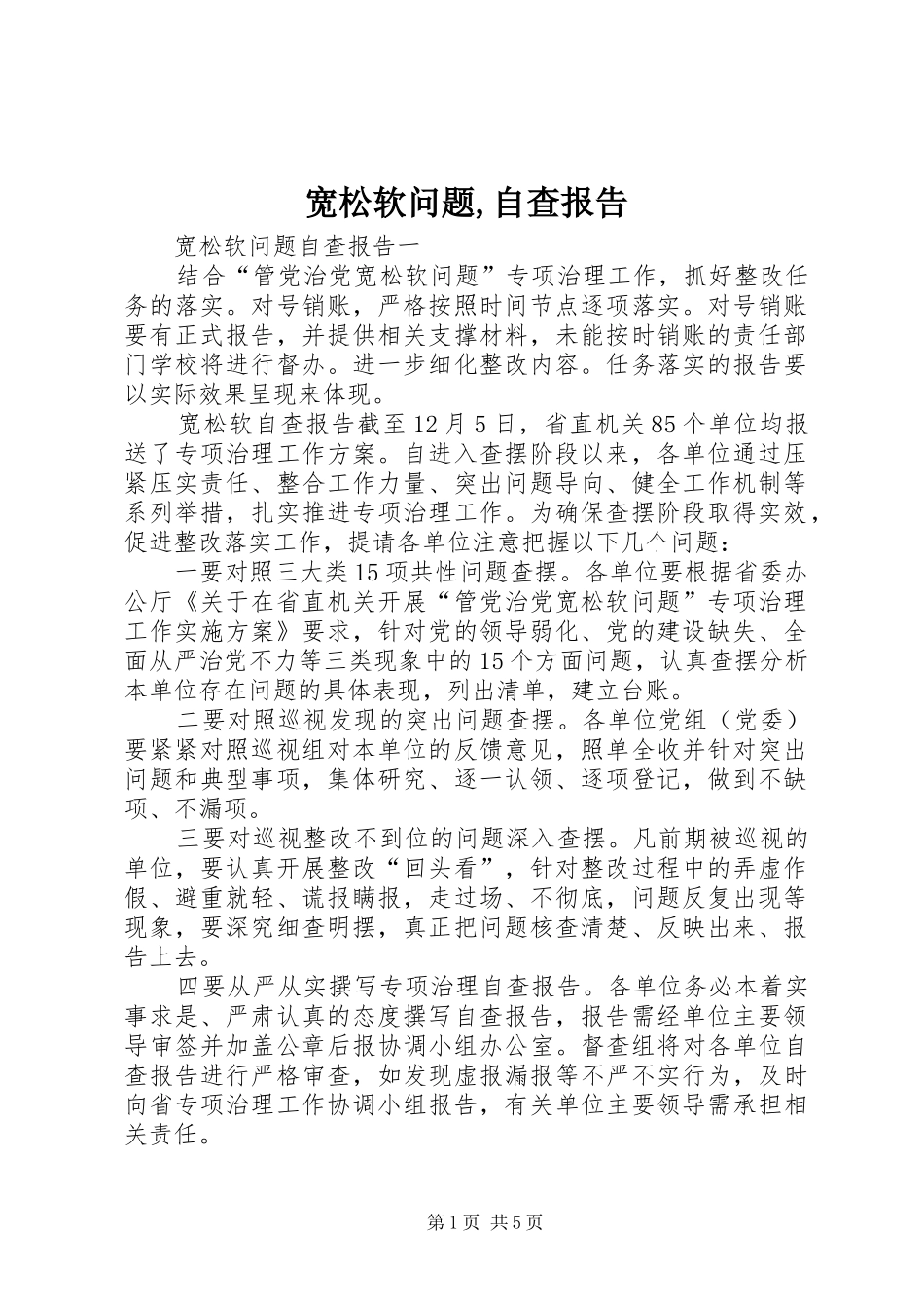 2024年宽松软问题自查报告_第1页