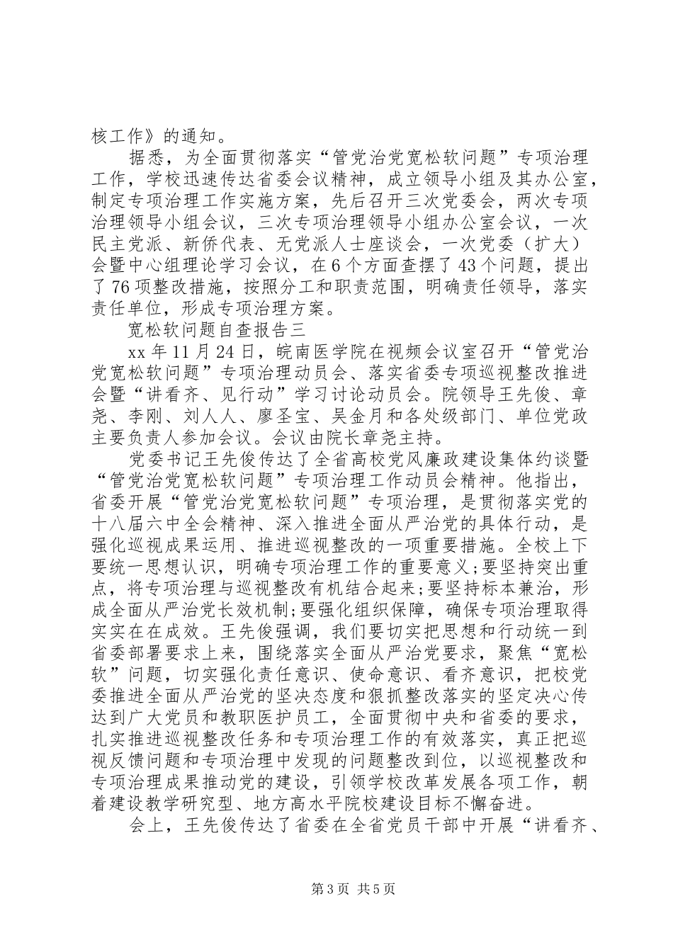 2024年宽松软问题自查报告_第3页