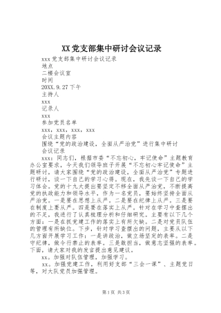 2024年党支部集中研讨会议记录
