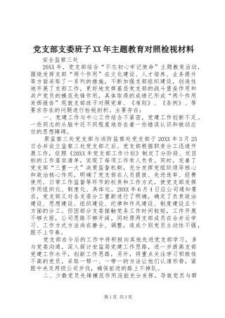 2024年党支部支委班子主题教育对照检视材料