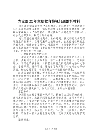 2024年党支部主题教育检视问题剖析材料